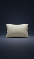 Contour Memory Foam Pillow